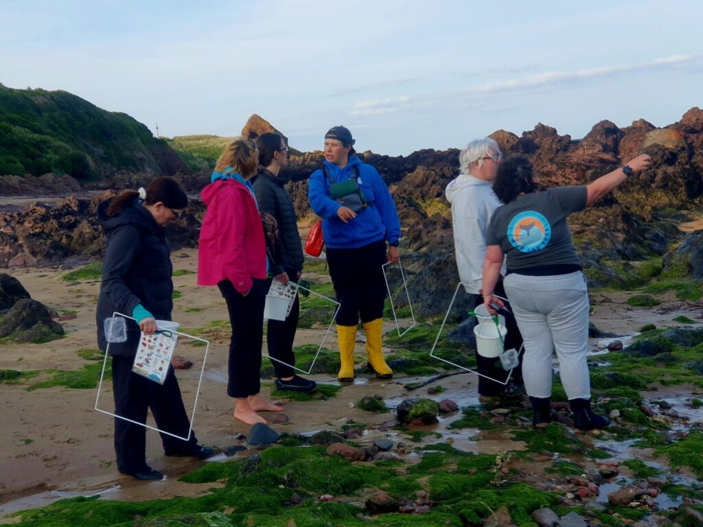People exploring rocky beach with marine survey tools