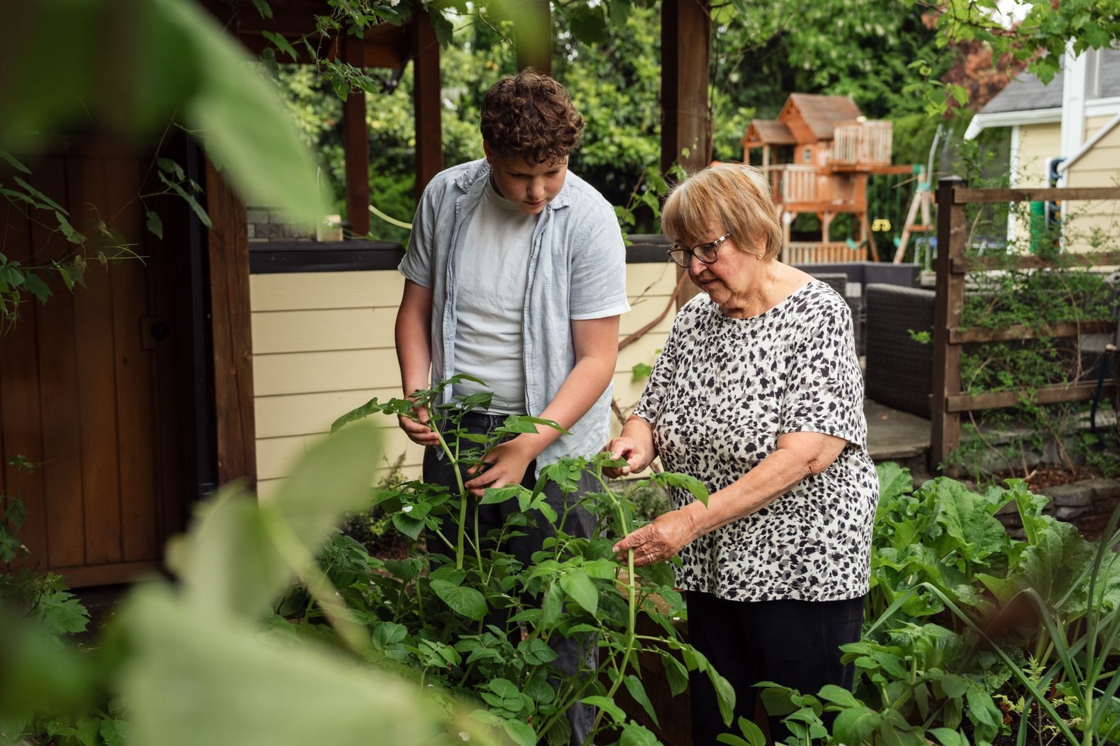 A teenager and senior adult gardening together in a verdant backyard, symbolizing bond and tradition.