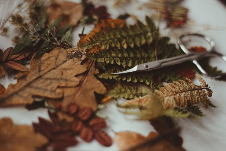 A creative flat lay of autumn leaves and scissors, showcasing the detailed textures and warm fall colors.